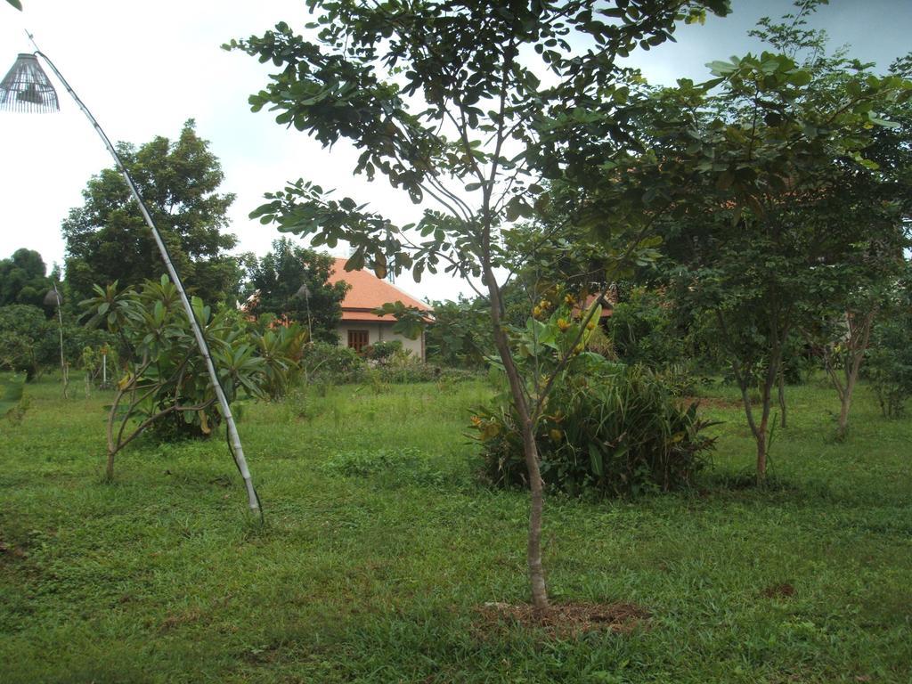 Green Plateau Lodge Banlung Exteriör bild