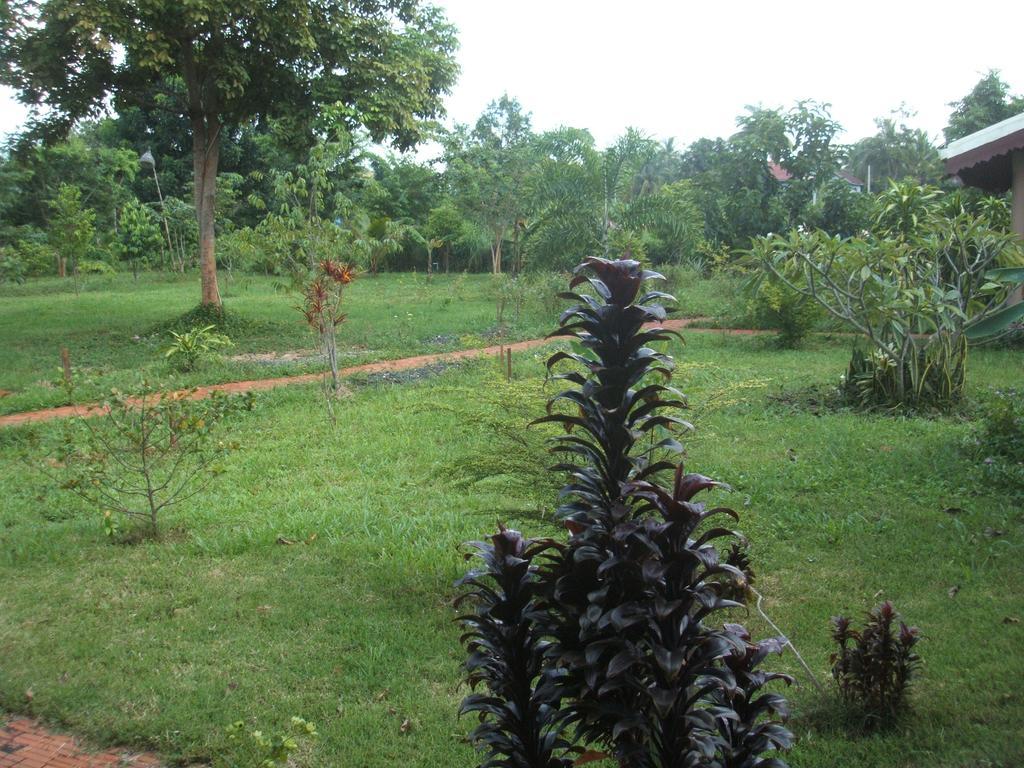 Green Plateau Lodge Banlung Exteriör bild